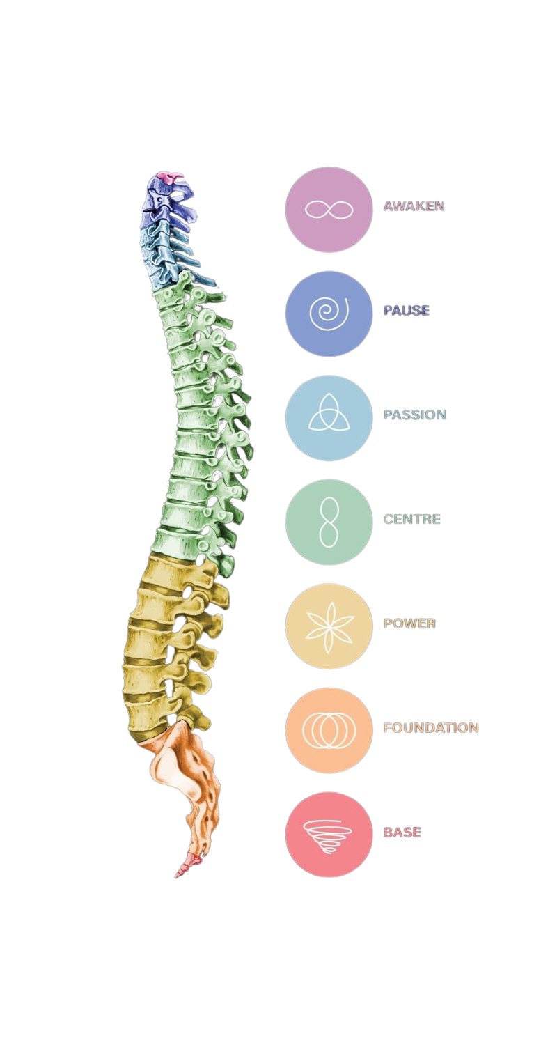 The 7 Gateways of the Spine